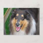 zorro briefkaart (Voorkant)