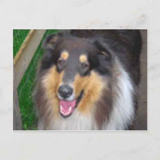 zorro briefkaart (Voorkant)