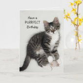 Zorro Catnip Purrfect Birthday Wenskaart Kaart (Gele Bloem)