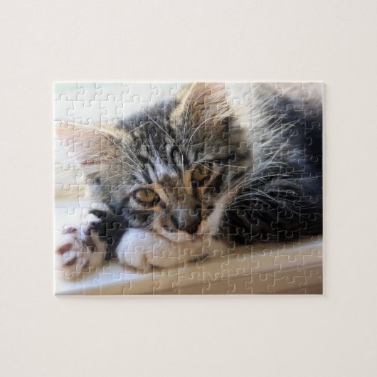 Zorro door de puzzel van het venster (Horizontaal)