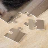 Zorro door de puzzel van het venster (Zijkant)