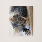 Zorro door de puzzel van het venster (Verticaal)
