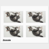 Zorro en zijn Stickers (Vel)