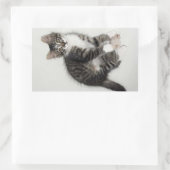 Zorro en zijn Stickers (Tas)