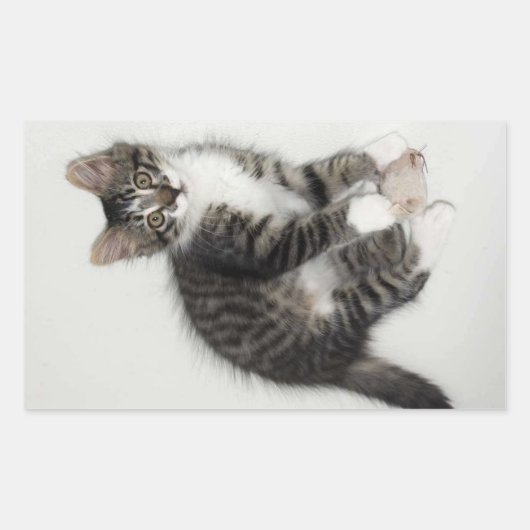 Zorro en zijn Stickers (Voorkant)