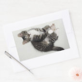 Zorro en zijn Stickers (Envelop)