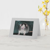 Zorro Kaart (Gele Bloem)