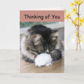 Zorro Kat denkt aan je Kaart (Gele Bloem)