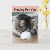 Zorro Kat die voor je kaart preekt (Gele Bloem)