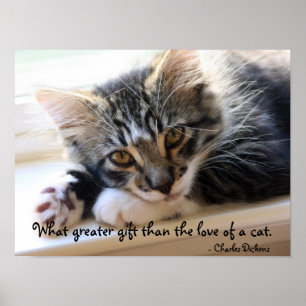 Zorro Kitten door het Poster Venster