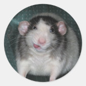 Zorro Ronde Sticker (Voorkant)