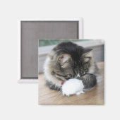 Zorro Shy Kat Square Magnet (Voorkant / Achterkant)