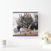 ZorroCat bij de wandklok van het venster (Huis)