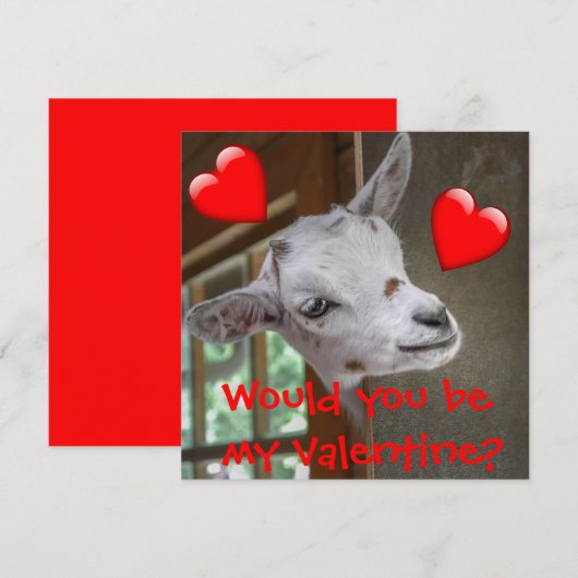 Zou je mijn Valentijn zijn? Goat Funny Card (Voorkant / Achterkant)