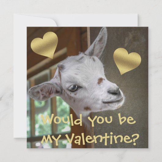 Zou je mijn Valentijn zijn? Goat Funny Valentijn (Voorkant)