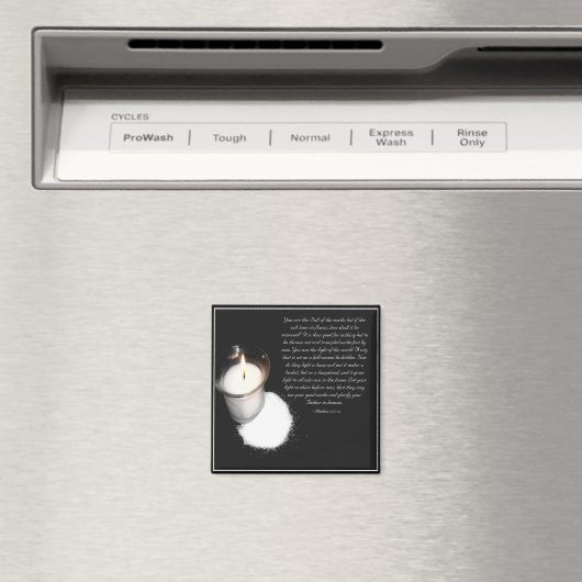 Zout- en lichte scripts magneet (Insitu (Vaatwasser))