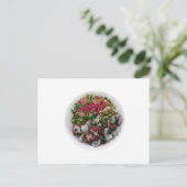 Zout met radijzen en gebrande kippen briefkaart (Staand voorkant)