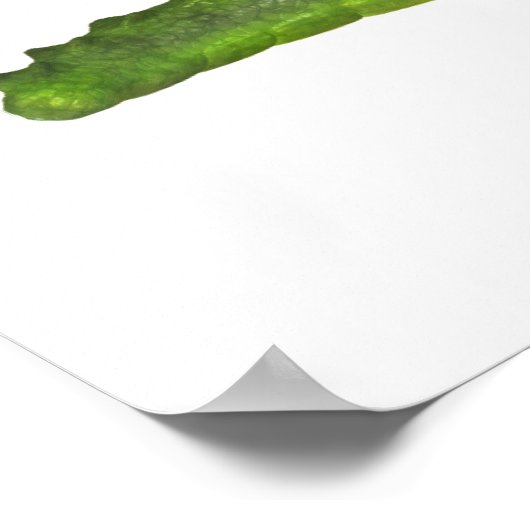 Zout the Crocodile Poster (Hoek)