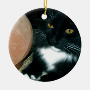 Zout Wereldbol en kat Psychisch - Foto Keramisch Ornament