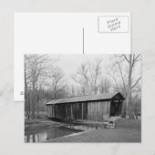 Zoute Creek Bridge Briefkaart (Voorkant / Achterkant)