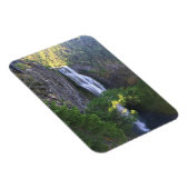 Zoute Herfsten van Creek, Oregon Magneet (Rechterzijde)
