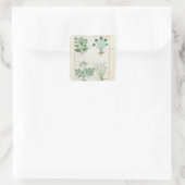 Zoute Struik en Anthora Absinthium en Cardamom Vierkante Sticker (Tas)