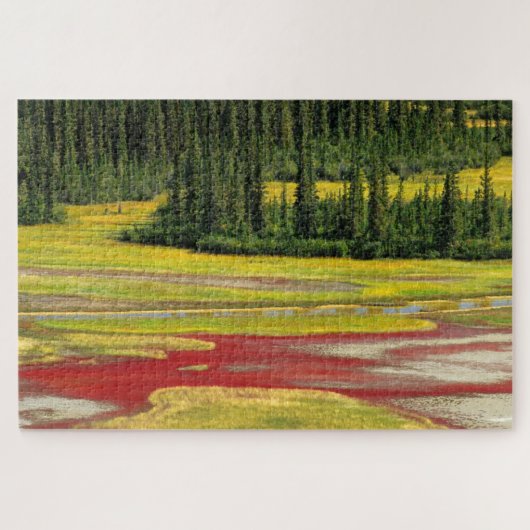 Zoute vlakte en bossen | Nationaal park Hout Buffa Legpuzzel (Horizontaal)