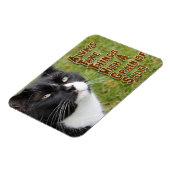 Zoutkorrel Motivation Cat Aanmoediging Citaat Magneet (Linkerzijde)