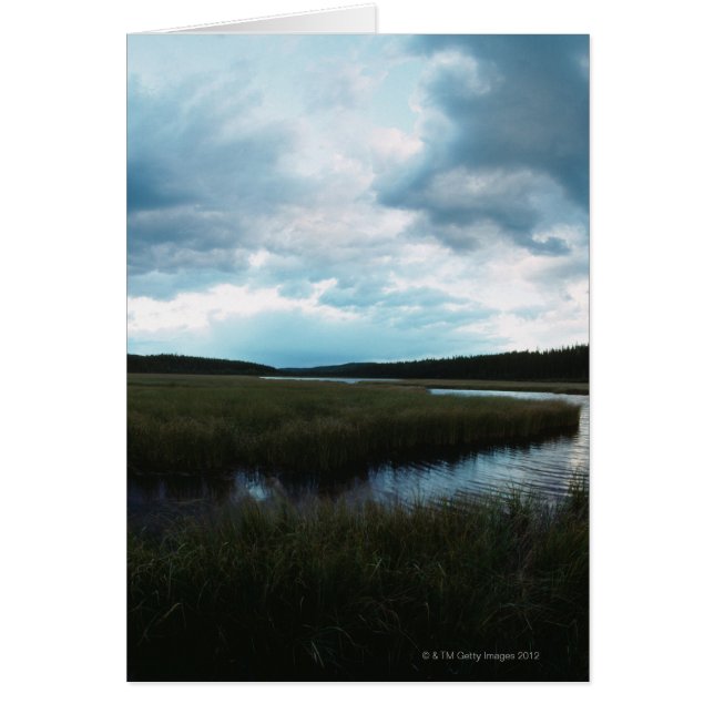 Zoutmoeras (Voorkant)