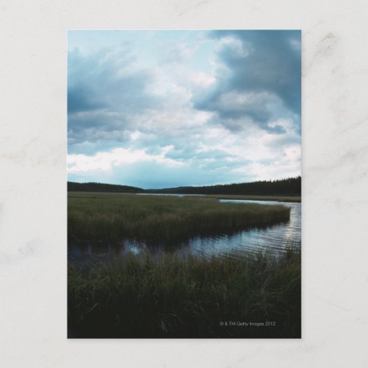 Zoutmoeras Briefkaart (Voorkant)