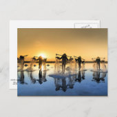 Zoutoogst in Vietnam Briefkaart (Voorkant / Achterkant)