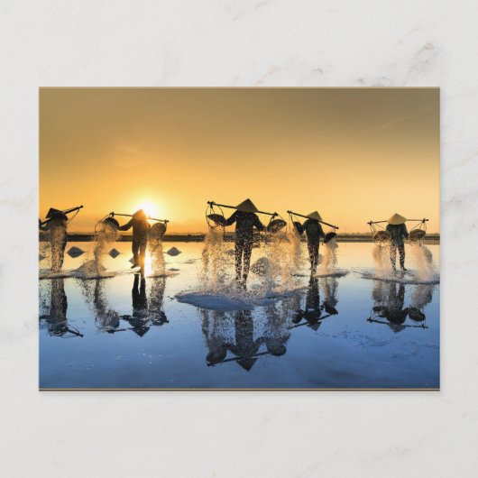 Zoutoogst in Vietnam Briefkaart (Voorkant)