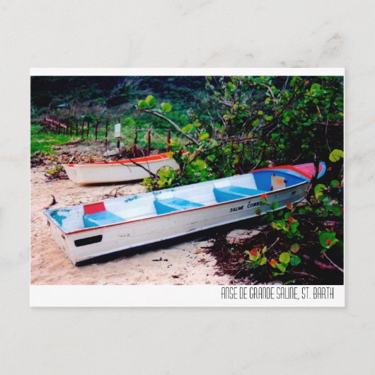 Zoutstrand, sint-jansbrood briefkaart (Voorkant)