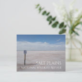 Zoutvlakten, Zoutvlakten Nationaal Wildlife Refuge Briefkaart (Staand voorkant)