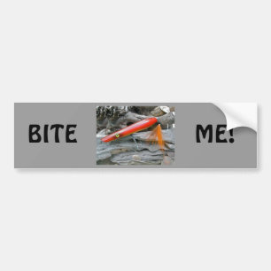 Zoutwater Lokaas Popper Firebird Coördinerende Art Bumpersticker