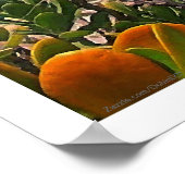 Zoutwatercrèche en Poster van schepen (Hoek)