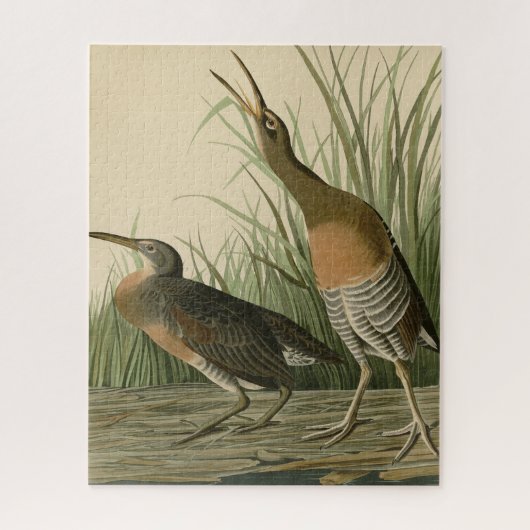 Zoutwaterkorf Hen - Amerikaanse vogels van Audubon Legpuzzel (Verticaal)