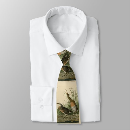 Zoutwaterkorf Hen - Amerikaanse vogels van Audubon Stropdas (Gebonden)