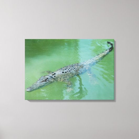 Zoutwaterkrokodil Canvas Afdruk (Voorkant)