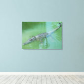 Zoutwaterkrokodil Canvas Afdruk (Insitu (Houten vloer))