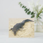 Zoutwaterkrokodil (Crocodylus porosus) Briefkaart (Staand voorkant)