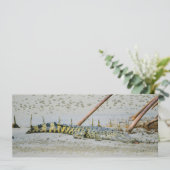 zoutwaterkrokodil feestdagenkaart (Staand voorkant)