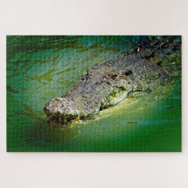 Zoutwaterkrokodil in moerassige wateren legpuzzel