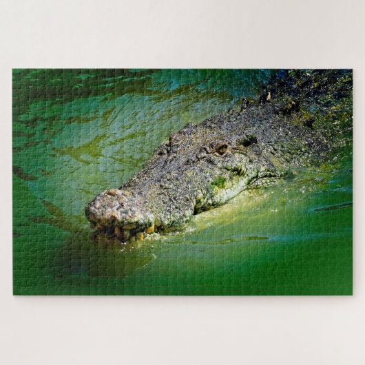 Zoutwaterkrokodil in moerassige wateren legpuzzel (Horizontaal)