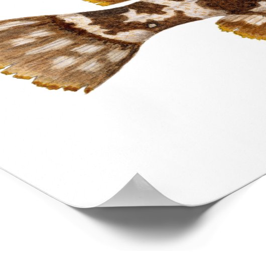 Zoutwaterspel Vis Poster (Hoek)