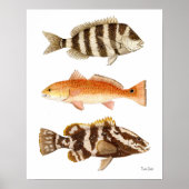 Zoutwaterspel Vis Poster (Voorkant)