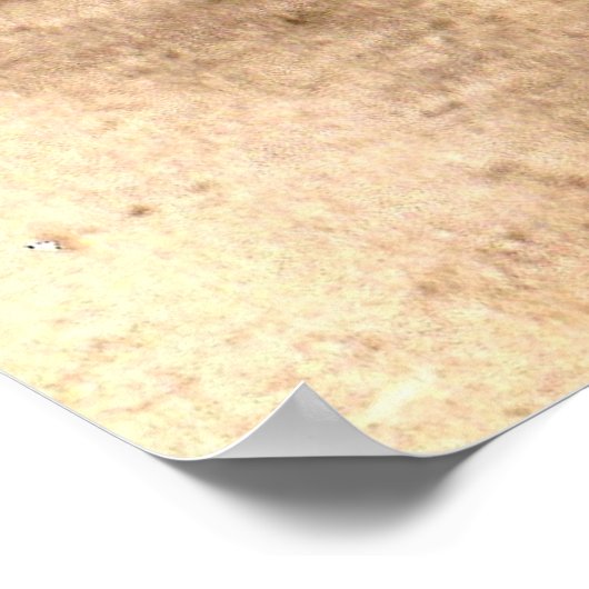 zowat 1920 bashful Harry Poster (Hoek)