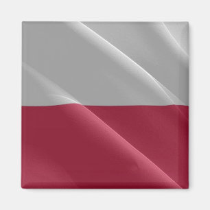 zPL002 POLISH Woont FLAG POLAND, Europa, Fridge Magneet