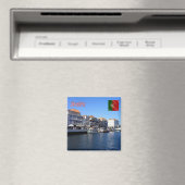 zPT025 AVEIRO, Portugal, Europa, Fridge Magneet (Insitu (Vaatwasser))