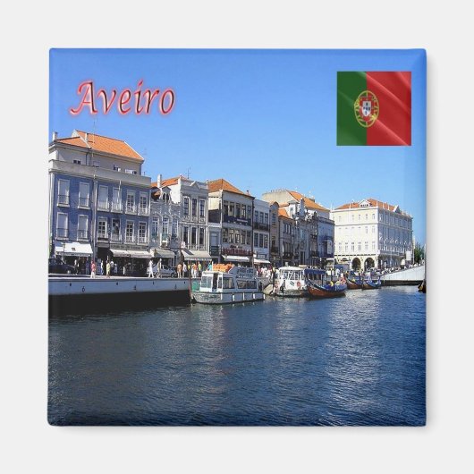 zPT025 AVEIRO, Portugal, Europa, Fridge Magneet (Voorkant)